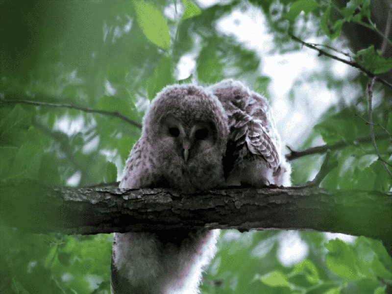 二代试管能换三代试管嘛（2代试管缺点）