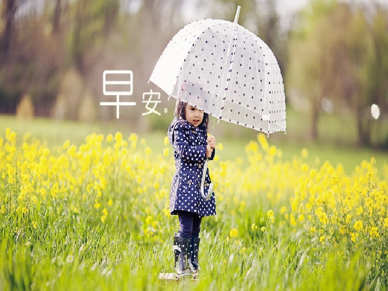 盒装核酸试管图片（做过试管的姐妹）